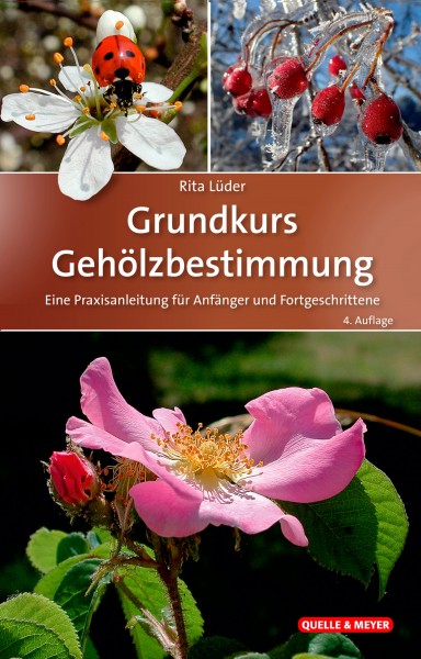 Buch Grundkurs Gehölzbestimmung – Eine Praxisanleitung für Anfänger und Fortgeschrittene
