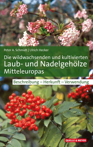 Buch Die wildwachsenden und kultivierten Laub- und Nadelgehölze Mitteleuropas