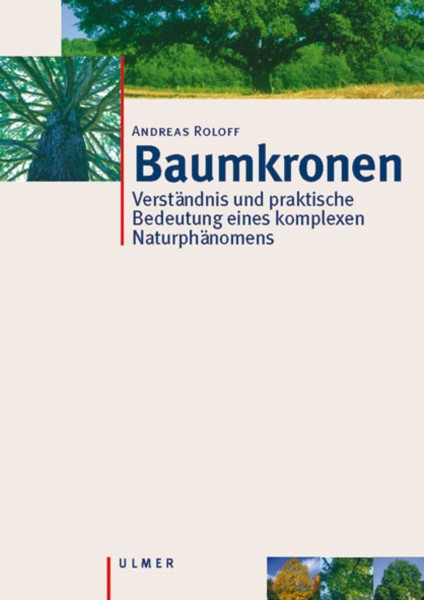 Baumkronen - Verständnis und praktische Bedeutung eines komplexen Naturphänomens