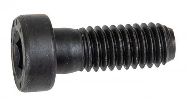 Forstreich-cylinderhovedskrue M6 x 16 til TR 30 AQ