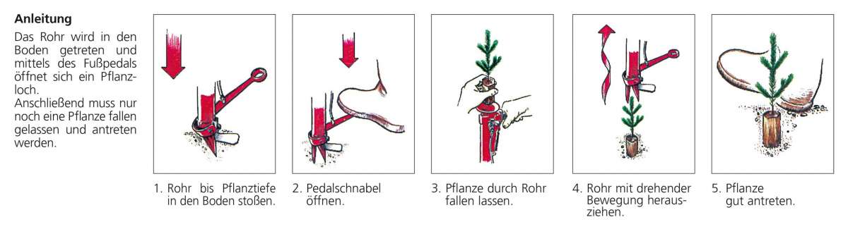 Pflanzrohr Pottiputki | Pflanzung | Forstbedarf | Forst | Grube AT