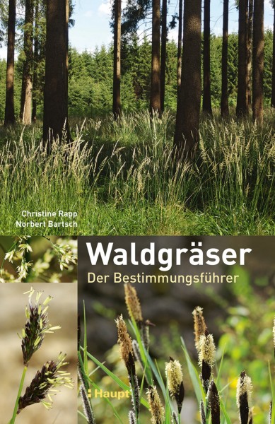 Buch Waldgräser - Der Bestimmungsführer
